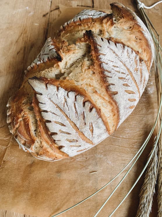 Brot