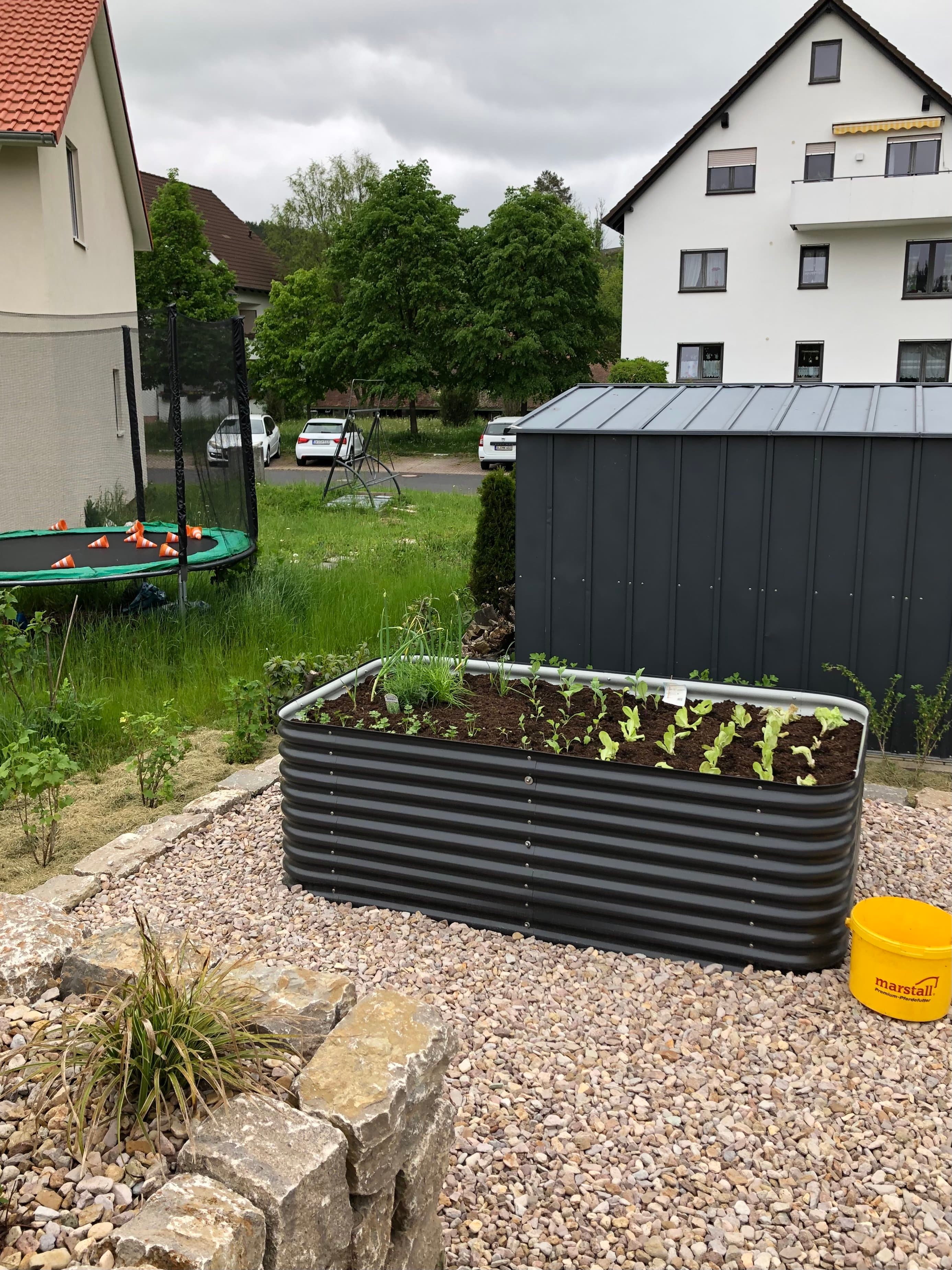 🥬🥒🧅🌶 Projekt Hochbeet und Beerensträucher erfüllt.. nun warten auf das Wachsen und Gedeihen... 🍀🤗