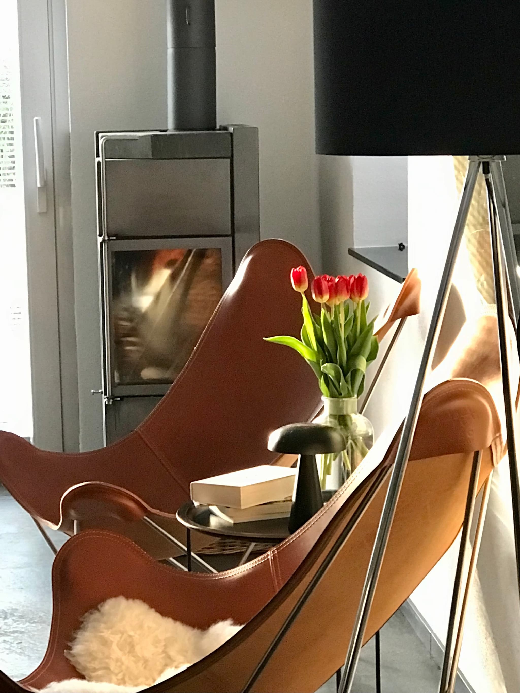  -   letzte Sonnenstrahlen - letzte Tulpen   -