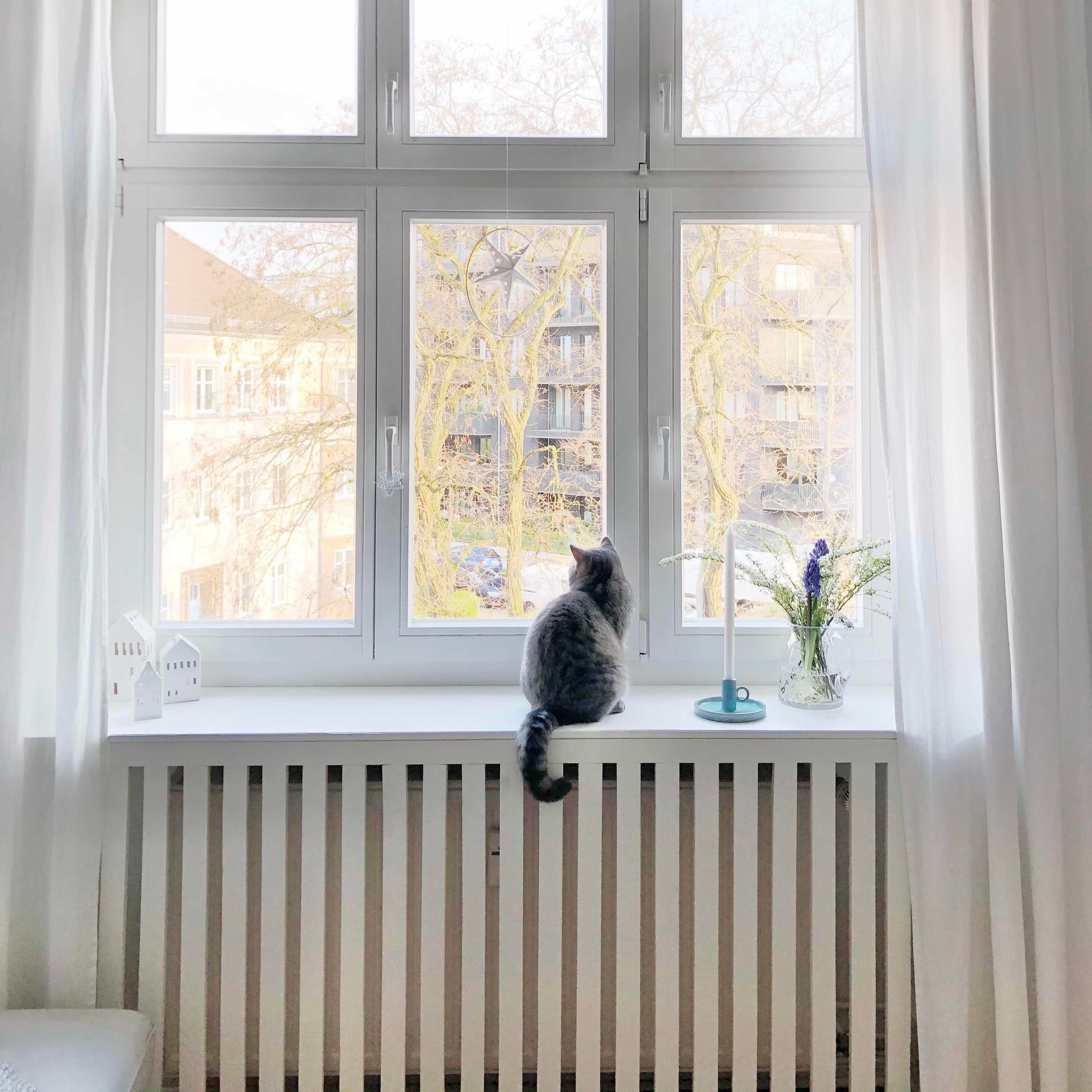 Heizung verkleiden mit nutzvollen Ideen