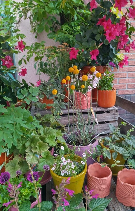 IMPRESSIONEN