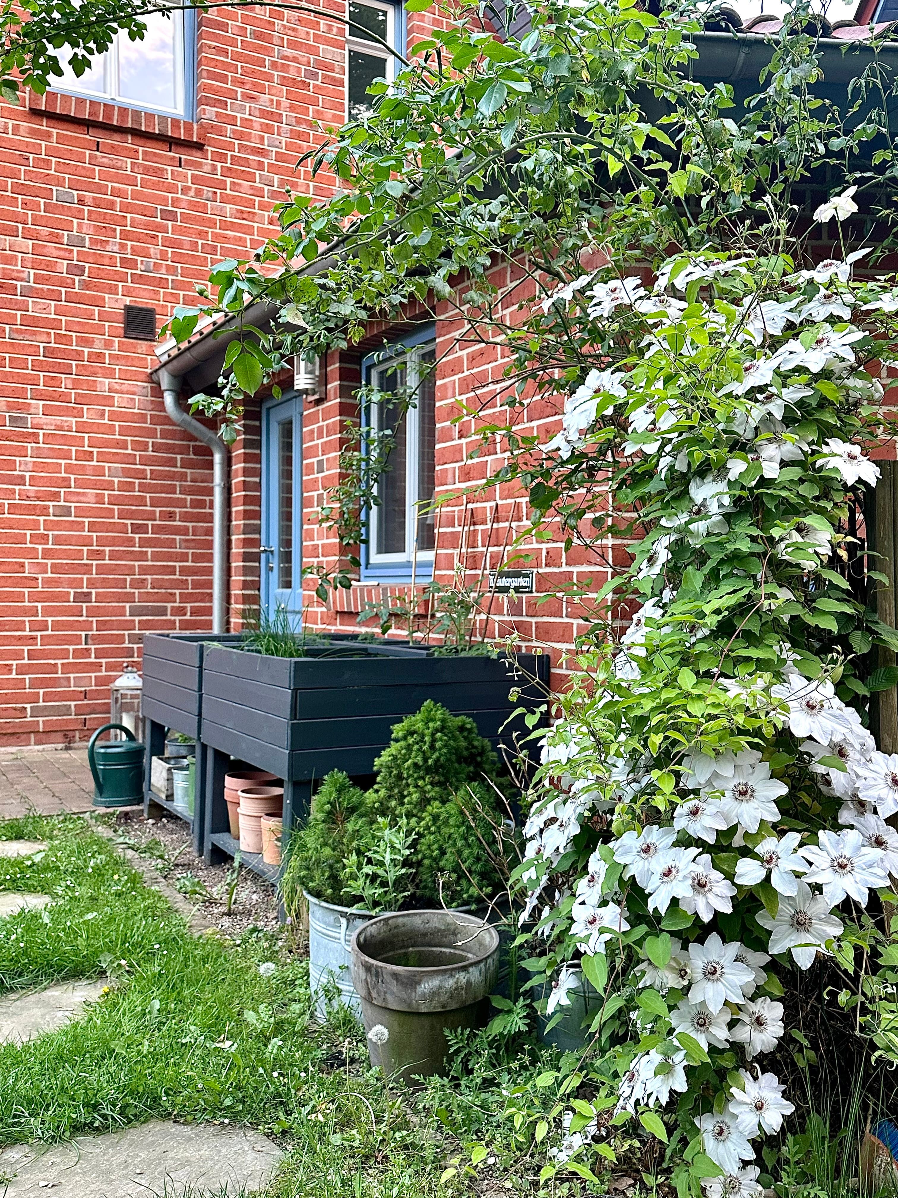Meine wilde Ecke 💚