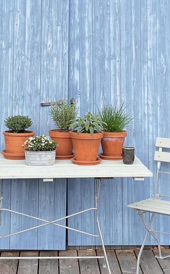 Die besten Ideen für die Kräuter in deinem Garten