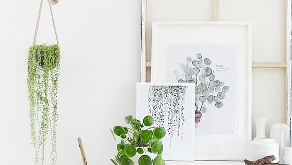 Zimmer einrichten: die perfekte Zimmergestaltung