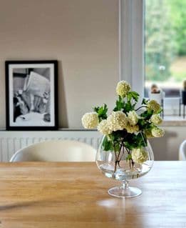 Glas