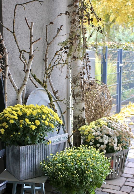 Blumentopf Deko Ideen & Bilder
