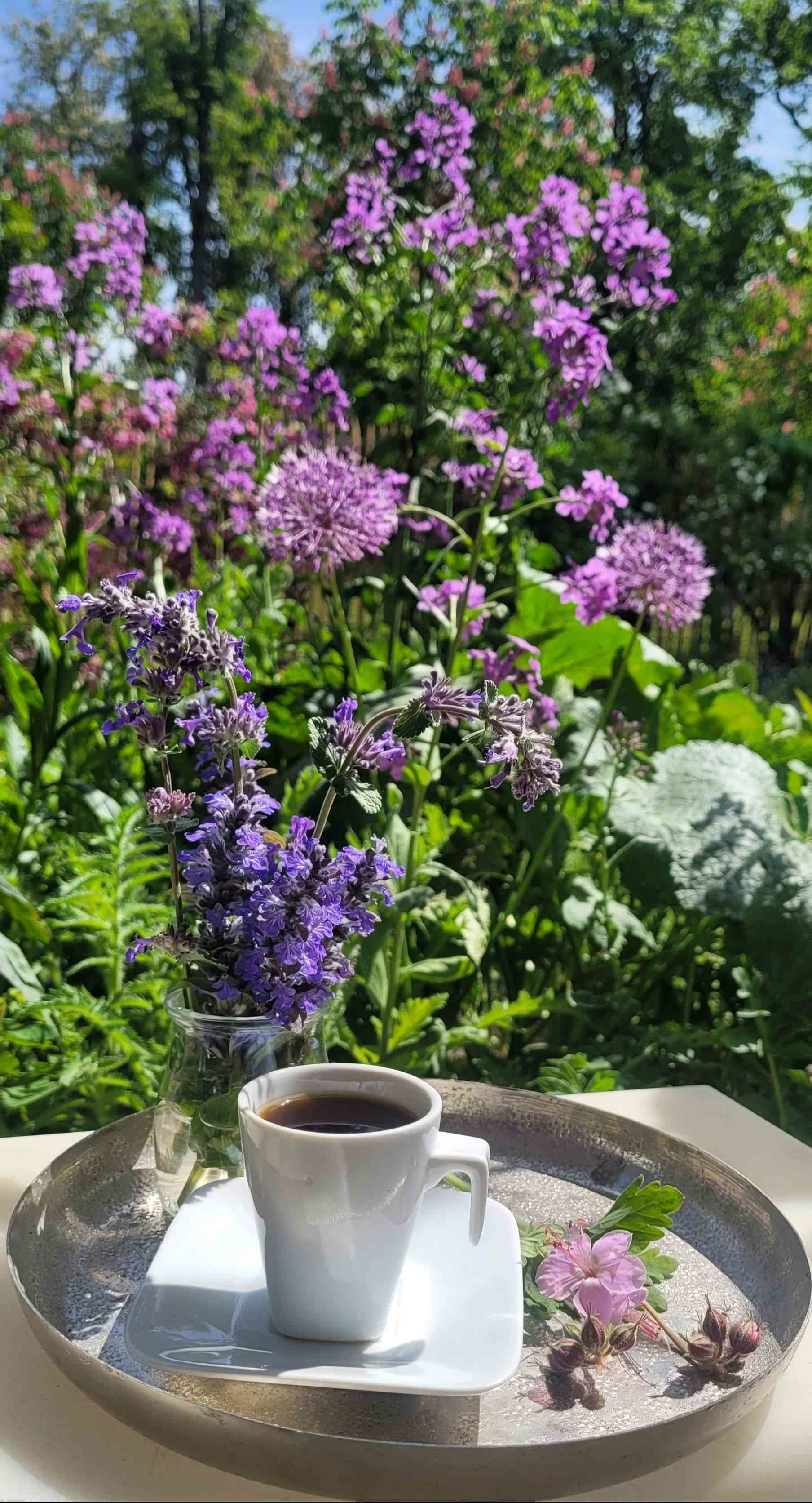 Lilalaune Montag 💜