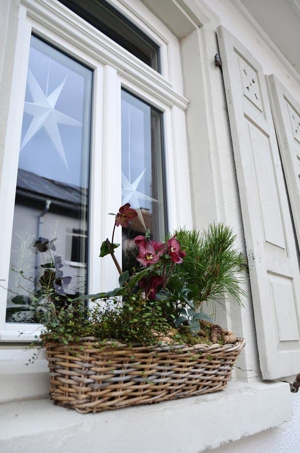 Blumenkästen