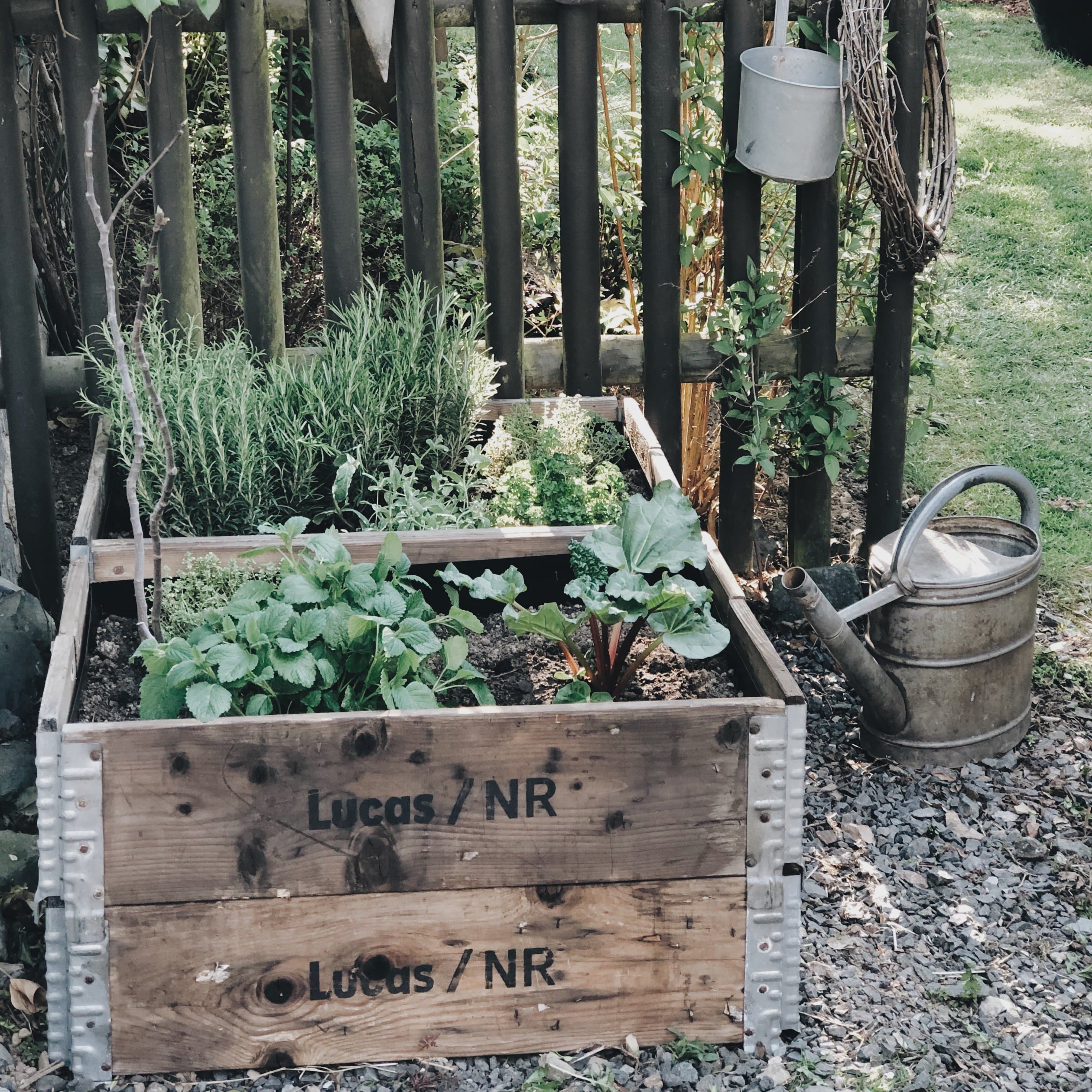Die schönsten Hochbeet Ideen für deinen Garten