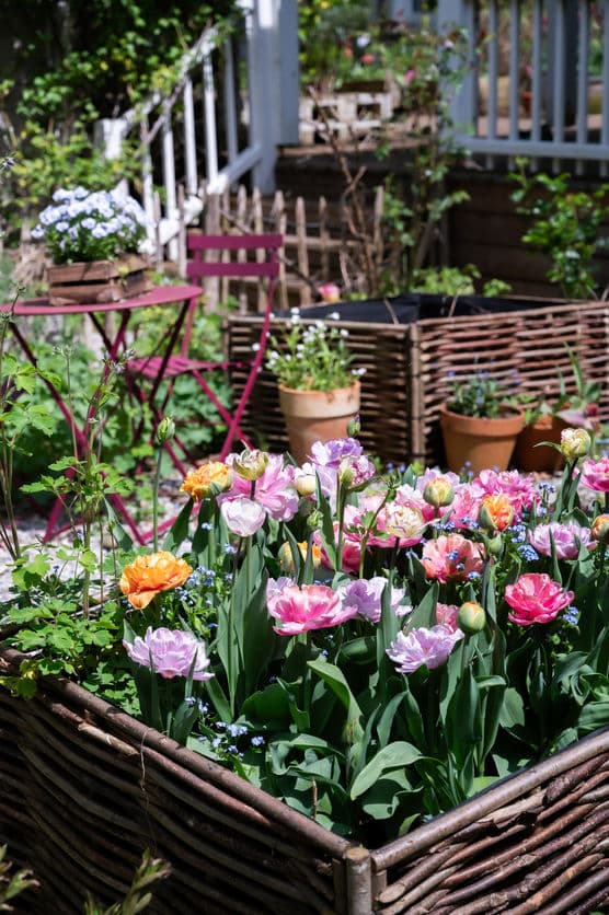 Die schönsten Ideen zum Gestalten deines Gartenbeets