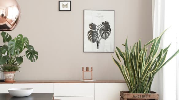 Beige als Wandfarbe - dezent und edel!