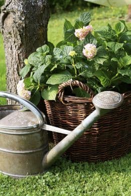 Gartenzubehör