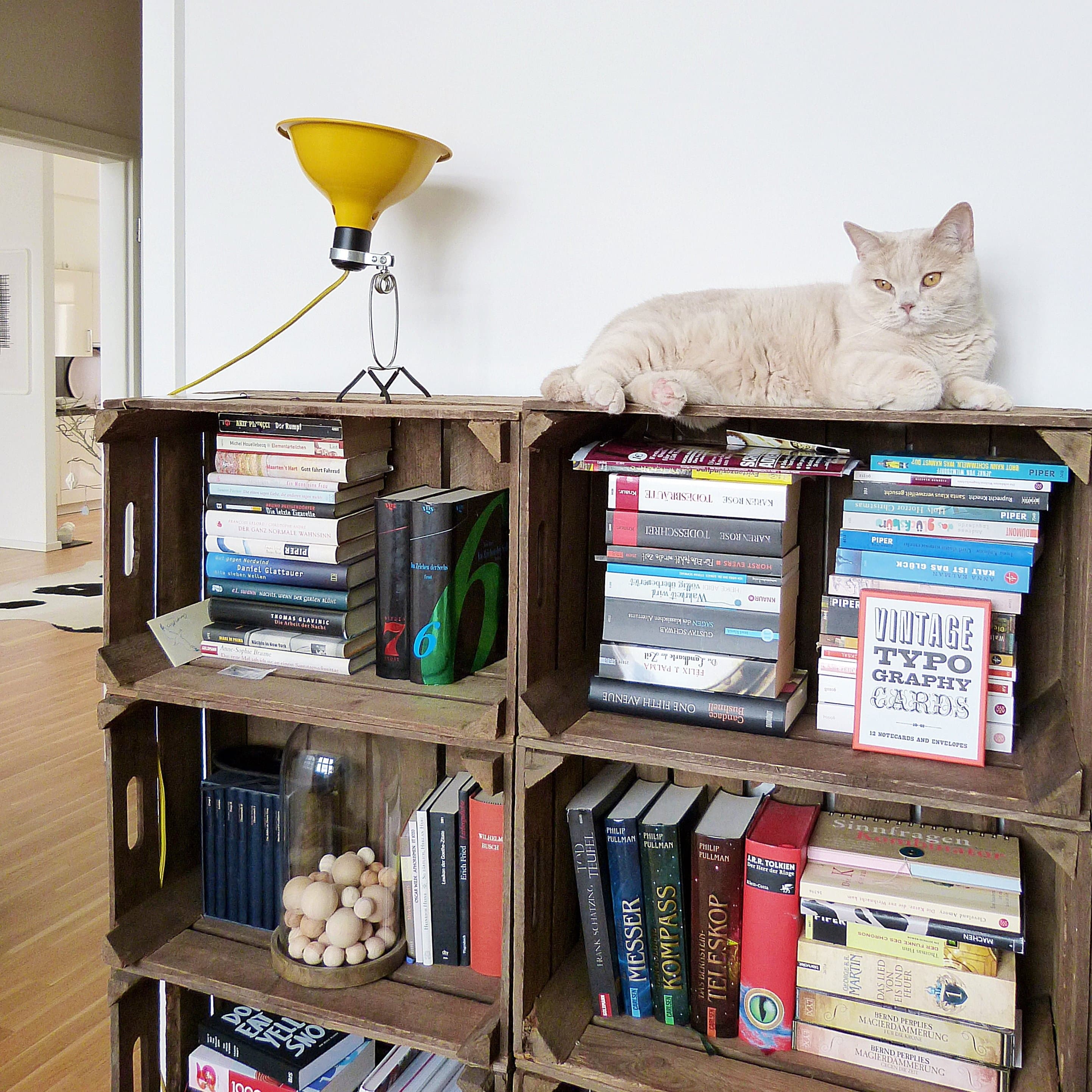 Die schönsten Upcycling Ideen für dein Zuhause