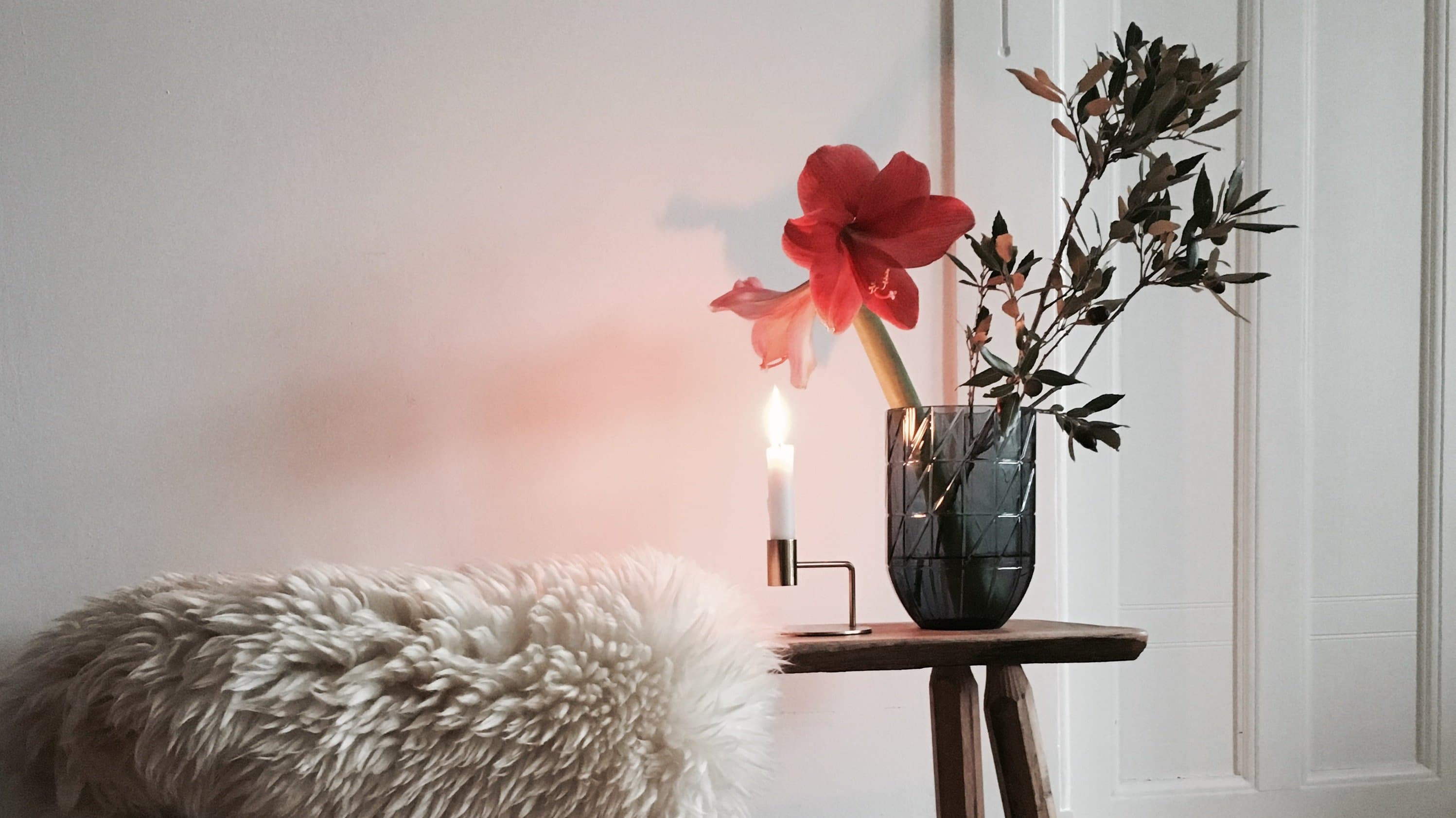 Die schönsten Amaryllis Deko Ideen