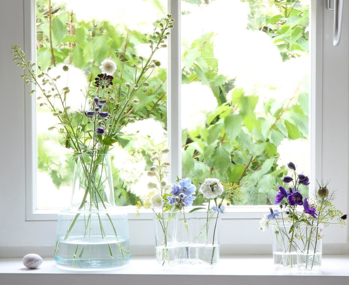 Fenster