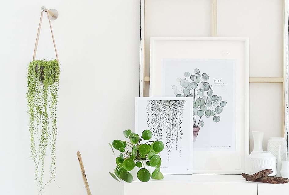 Blumenampel DIY Ideen