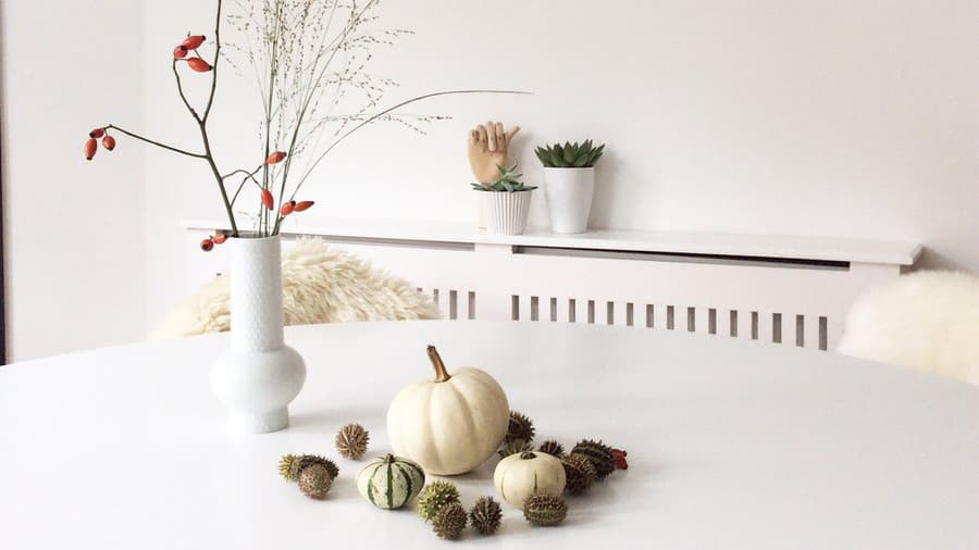 Herbstdeko: Ideen mit Zierkürbissen